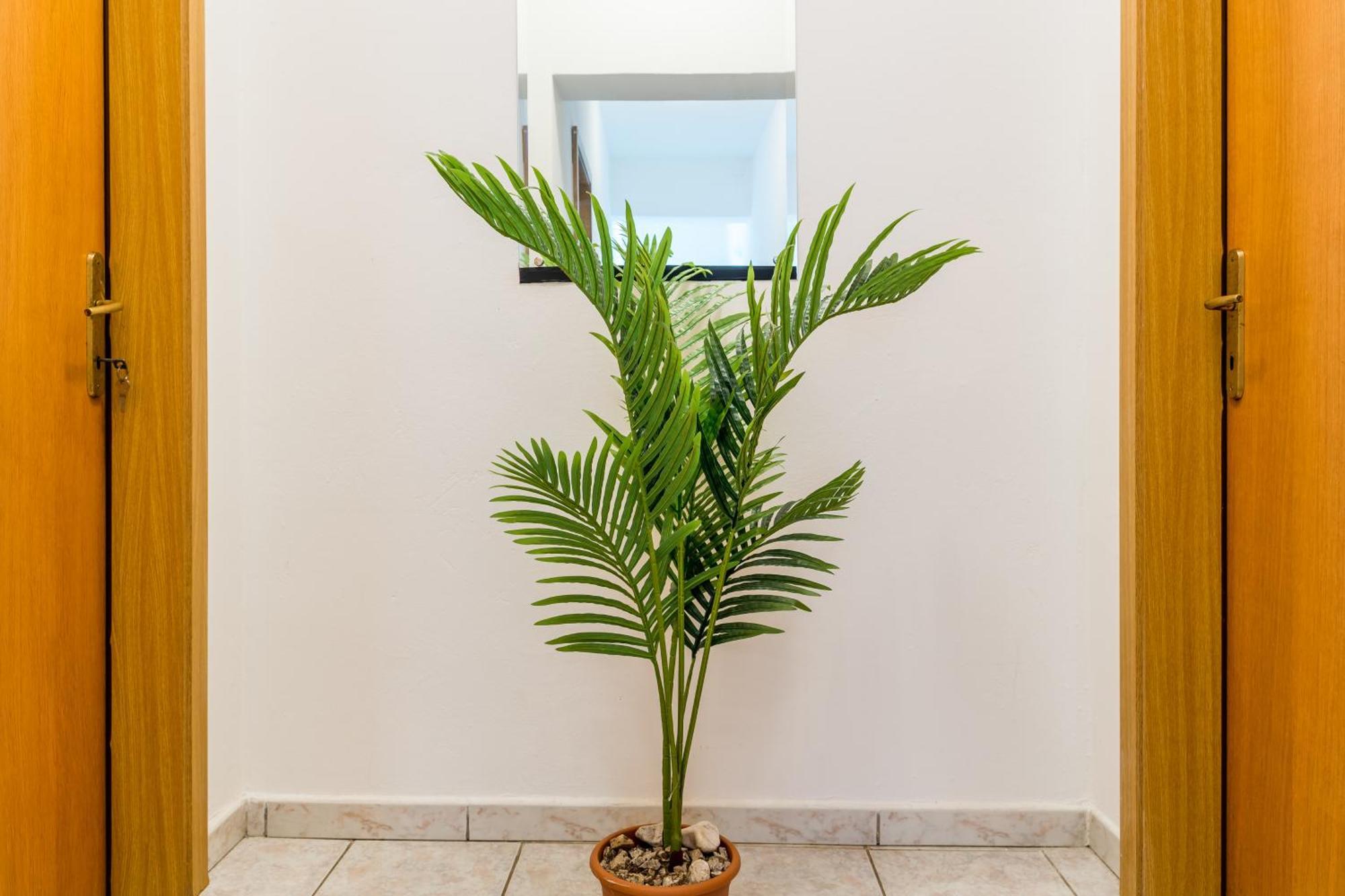 Apartments Claudia Šmrika Екстериор снимка